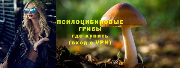 шишки Алексеевка