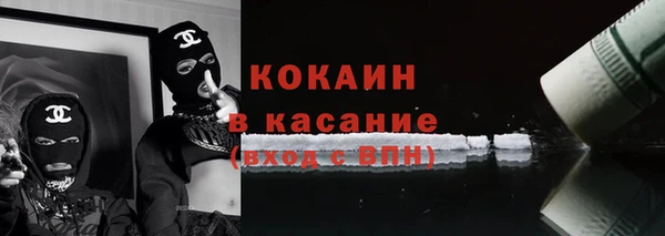 шишки Абаза