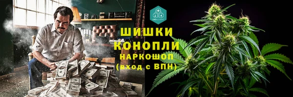 шишки Абаза