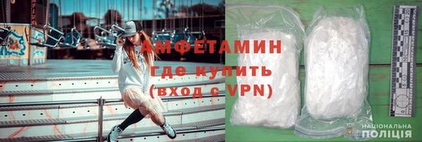 шишки Абаза