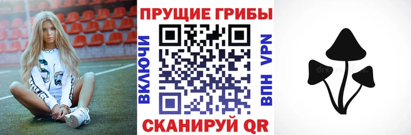 Псилоцибиновые грибы Magic Shrooms  Ивангород 